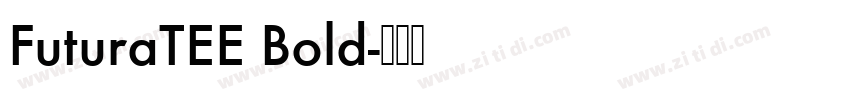 FuturaTEE Bold字体转换